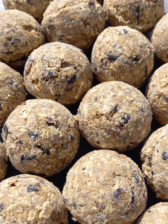 Knödel mit Insektenfett ohne Netz - 45 Stück